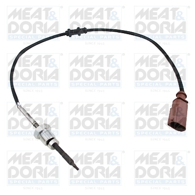 Sensor, exhaust gas temperature